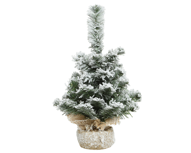 Pengelly Garden Centre product placeholder graphic on white background