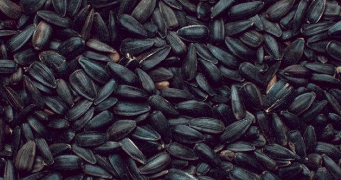 Henry Bell Black Sunflower Seeds 2.8kg