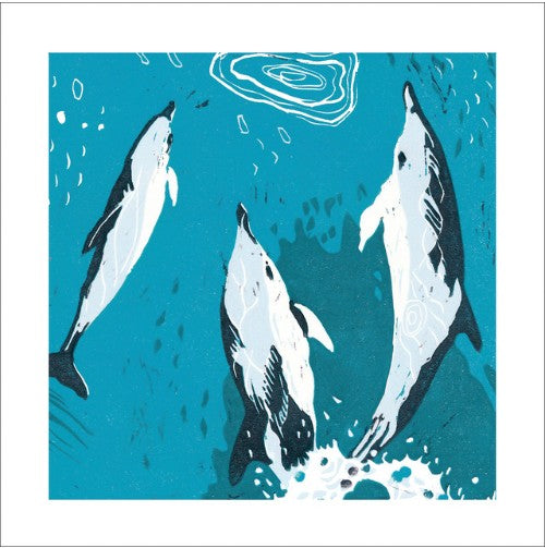 Dolphins Eco-Card