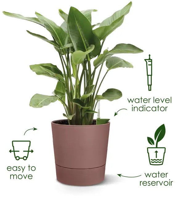Elho Greensense Aqua Care Round 30cm Light Concrete
