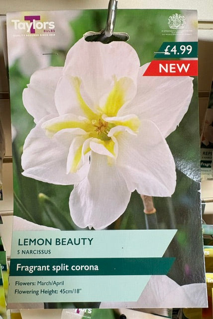 Taylor Bulbs Narcissus 'Lemon Beauty' (5)