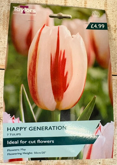 Taylors Bulbs Tulip 'Happy Generation' (7)