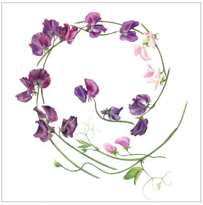 Sweetpea Swirl Eco-Card