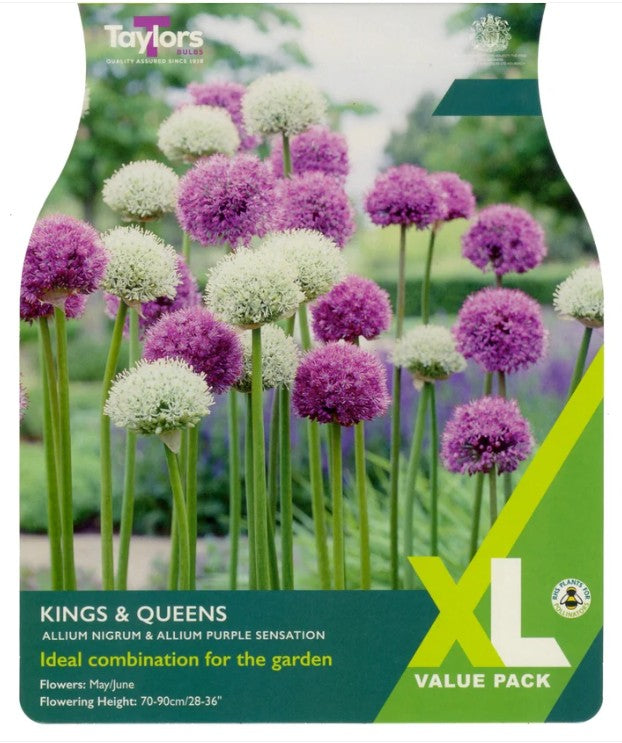 Taylors Bulbs Allium Kings and Queens (18)