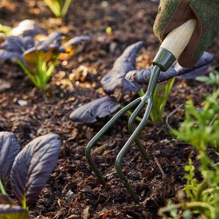 Burgon & Ball Boron Green Claw Cultivator