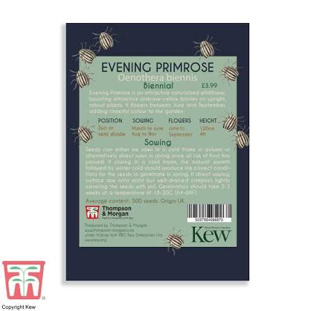 Thompson & Morgan Kew 'Evening Primrose' seeds