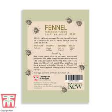 Thompson & Morgan Kew 'Fennel' seeds