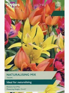 Tulip Naturalising Mix 15 bulbs