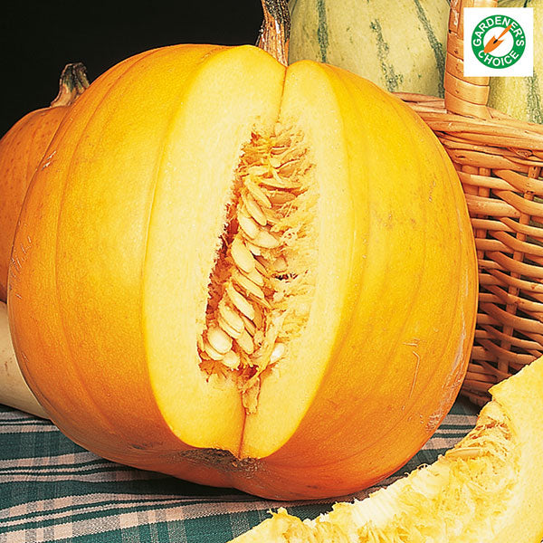 Carved pumpkin jack o'lantern with triangular eyes and toothy grin lit by candle, Halloween garden decoration
