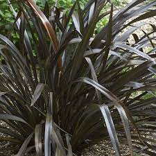 black plant pot colour variant for garden planters and containers