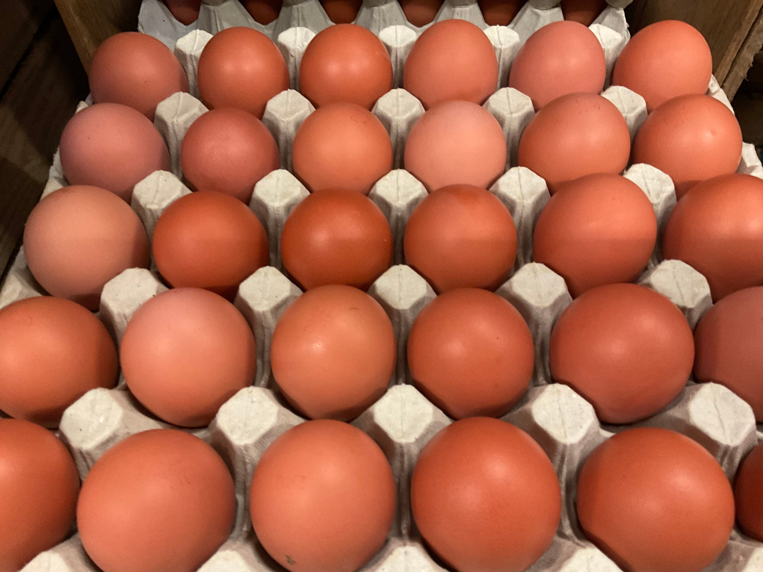 Eggs & Milk