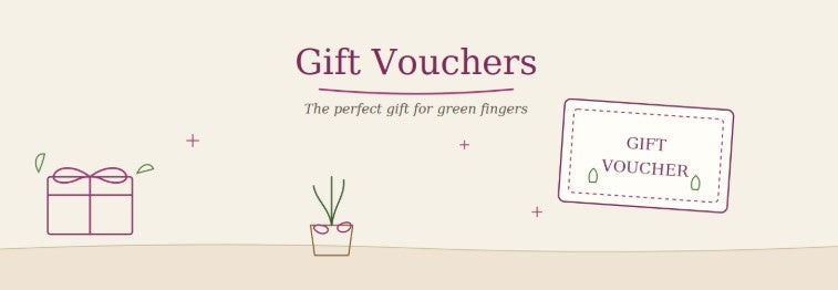 Gift Vouchers at Pengelly display gift cards by potted herbs seed packets and bedding plants