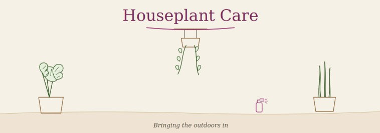 Houseplant Care
