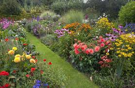 Cottage Garden Plants