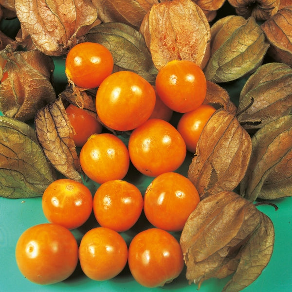 Soft Fruit