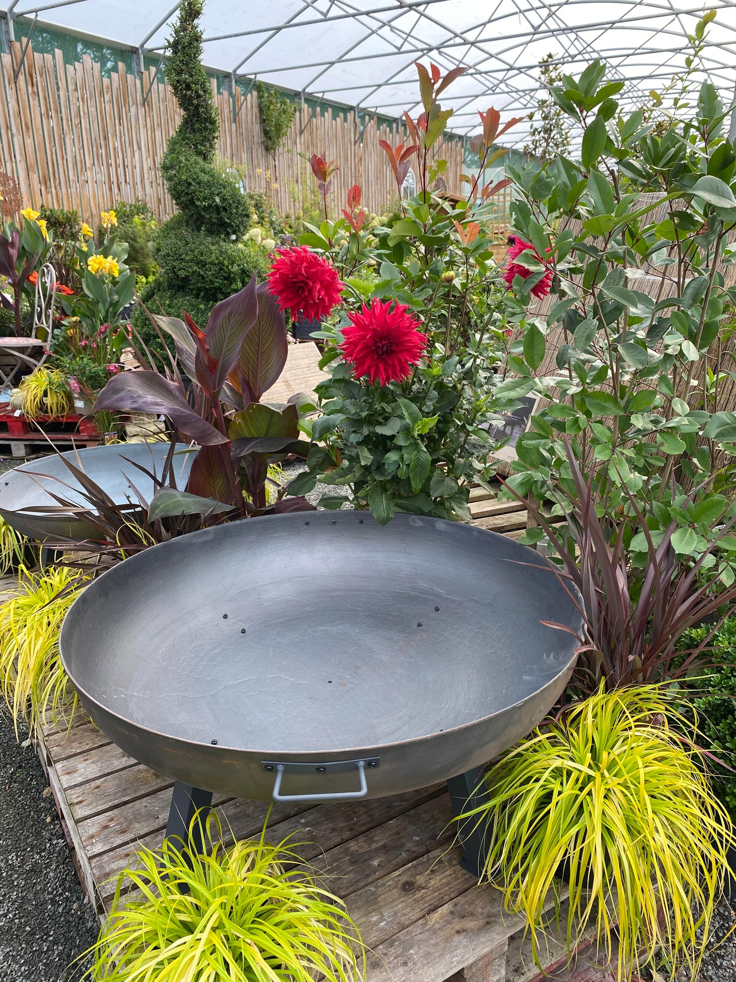 Outdoor Living