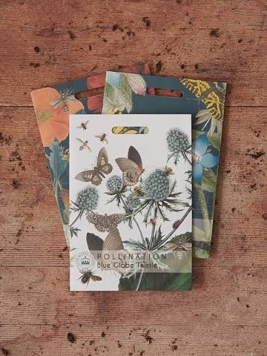Thompson & Morgan Kew Seed Range