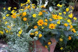 Pot Bedding
