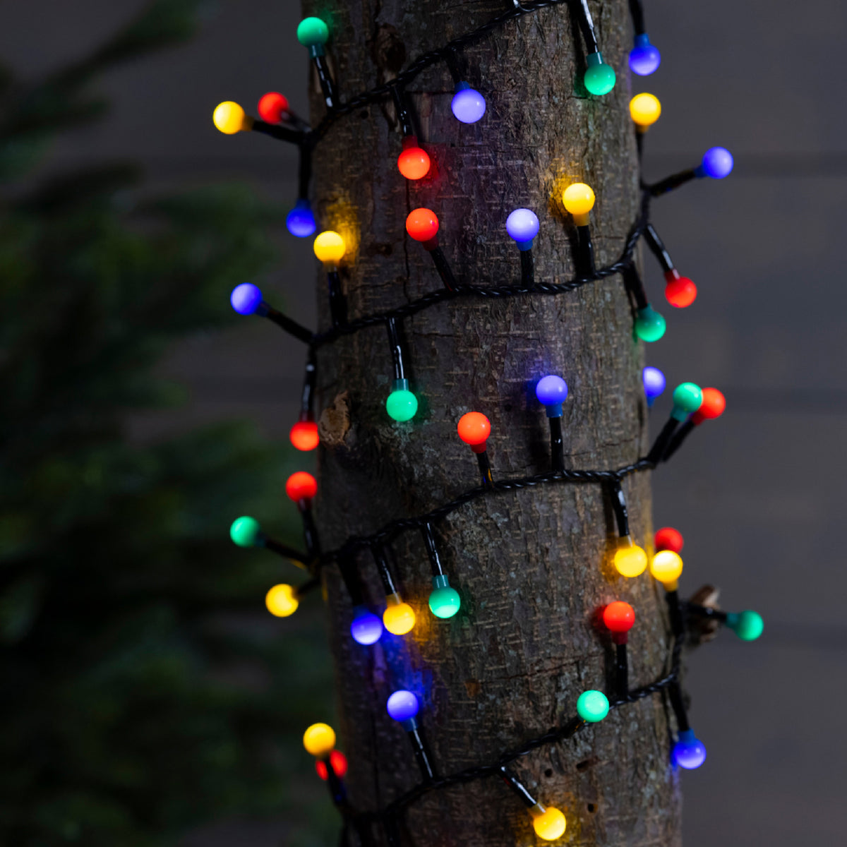 Kaemingk LED cherry lights gb 8 function twinkle effect outdoor Black / Multi Coloured 1100cm