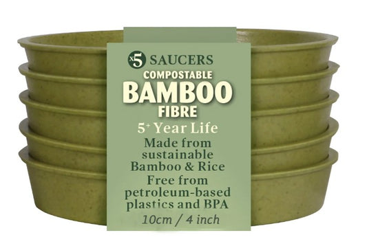 Haxnicks 6` Bamboo Saucer Sage Green (5pk)