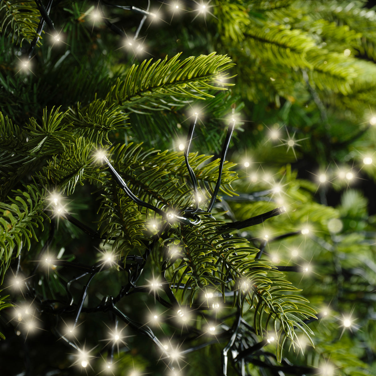 Kaemingk Cluster Twinkle String Lights Warm White 28m 3000LED