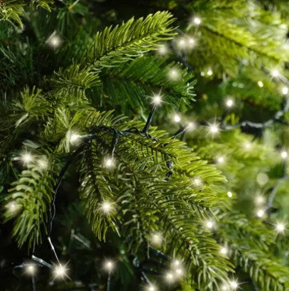 Kaemingk LED Compact Lights Gb 8 Function L750cm - Green/Warm White Twinkle Effect Outdoor