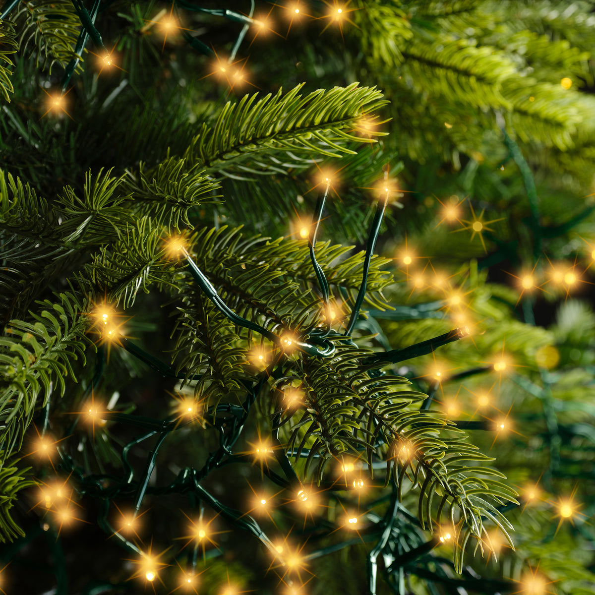 Kaemingk LED Cluster Lights 8 Function L1000cm - Twinkle Effect Outdoor Green Classic Warm 1050cm