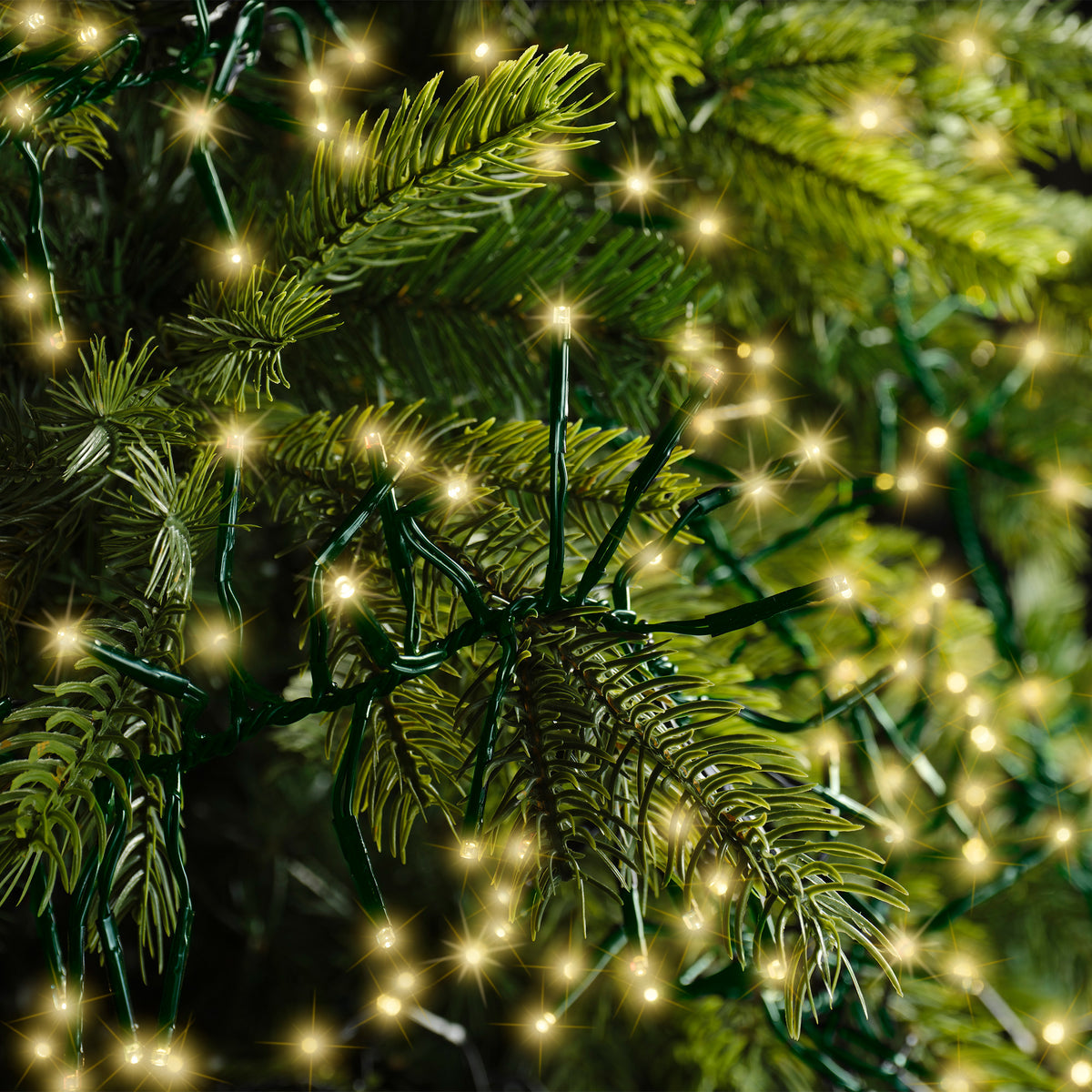 Kaemingk - LED 768 7m - Cluster Twinkle String Lights - Soft Gold (IN/OUT Door)