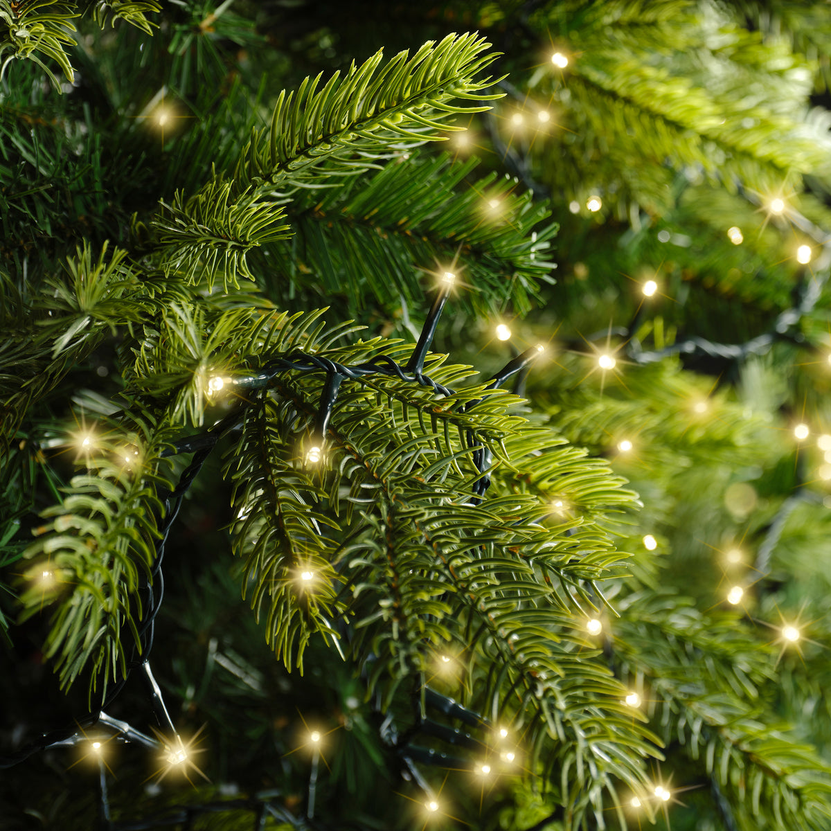 Kaemingk LED Compact Lights 8 Functions Twinkle Outside 1600cm