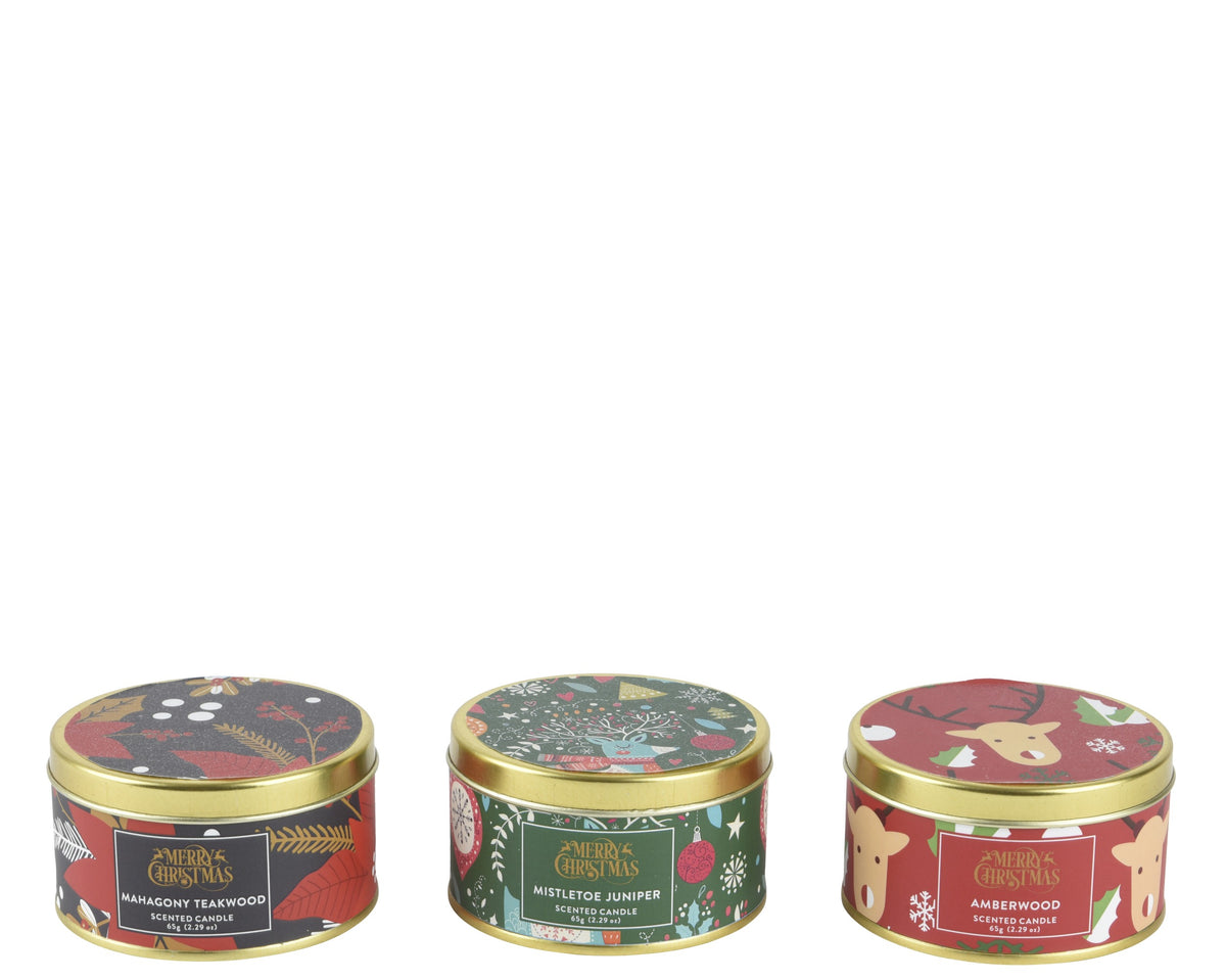 Kaemingk scented candle in a Tin - Amberwood