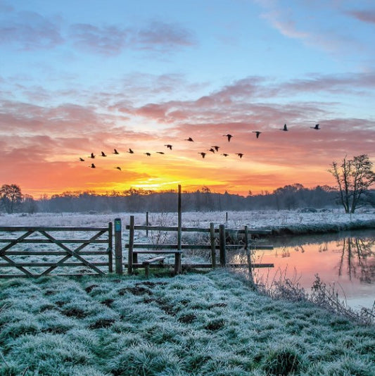 The Eco-Friendly Card Co Wildlife Trust Winter Scene Blank Card