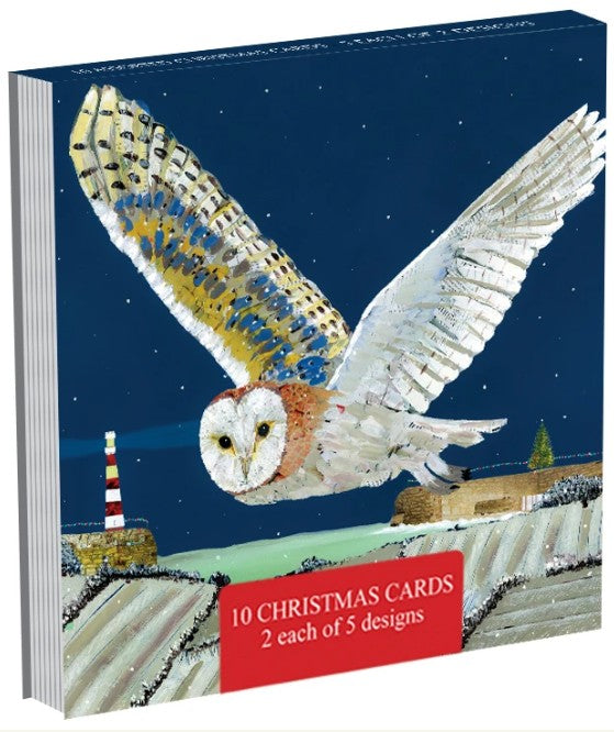 The Eco-Friendly Card Co Adam James Severn Christmas Cards 10 Pack