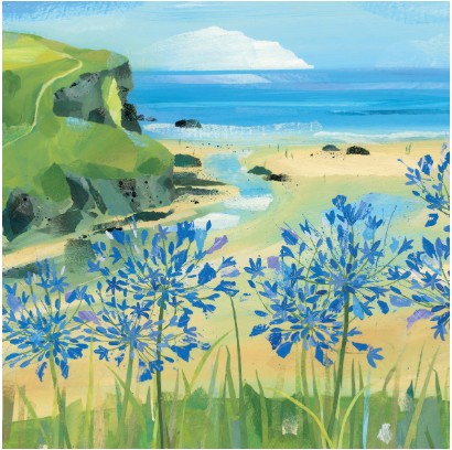 Agapanthus at Mawgan Porth Eco-Card