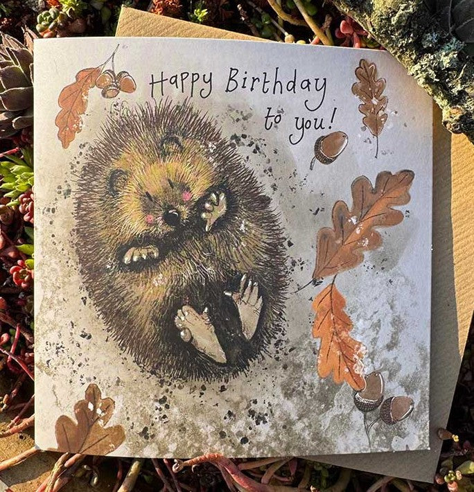 Alex Clark AC894 'Autumn Hedgehog'