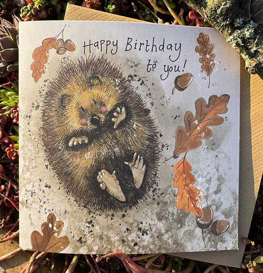 Alex Clark AC894 'Autumn Hedgehog'