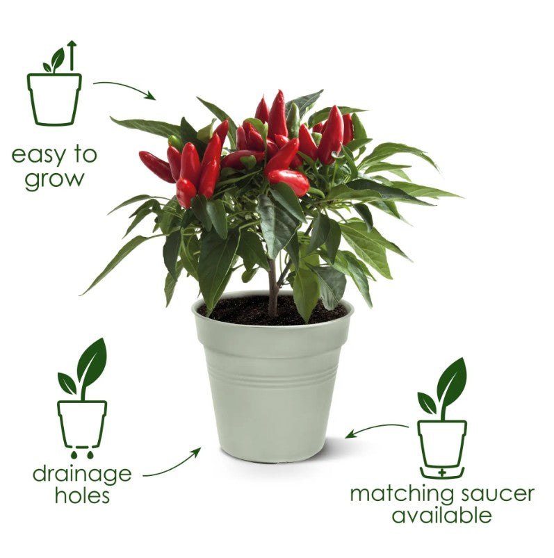 Elho Green Basics Growpot Leaf Green 27cm