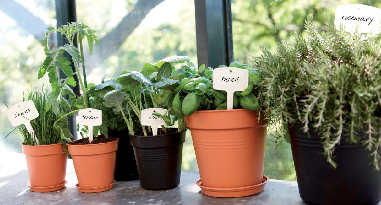 Elho Green Basics Growpot Mild Terra 24cm