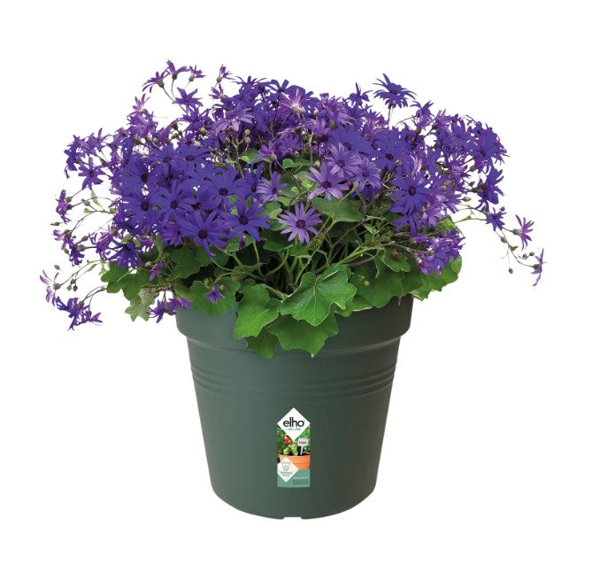 Elho Green Basics Growpot Leaf Green 21cm