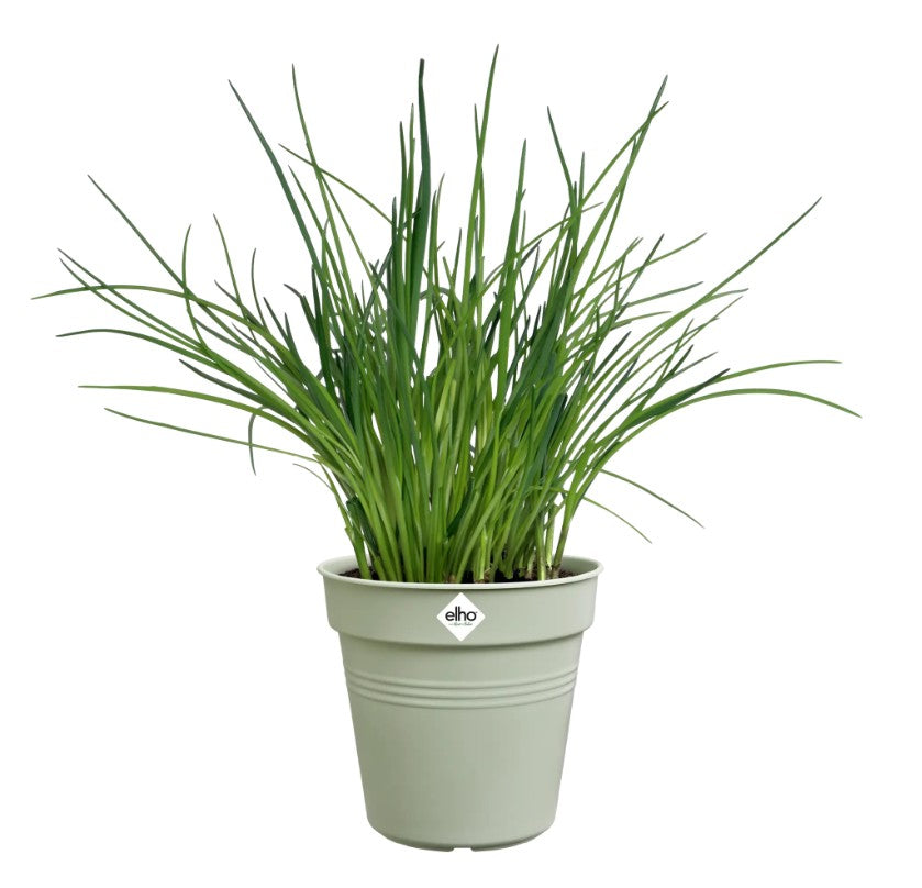 Elho Green Basics Growpot Stone Green 19cm