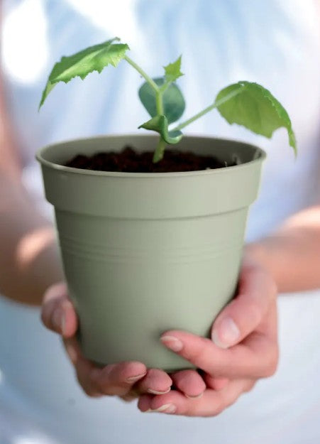 Elho Green Basics Growpot Stone Green 40cm