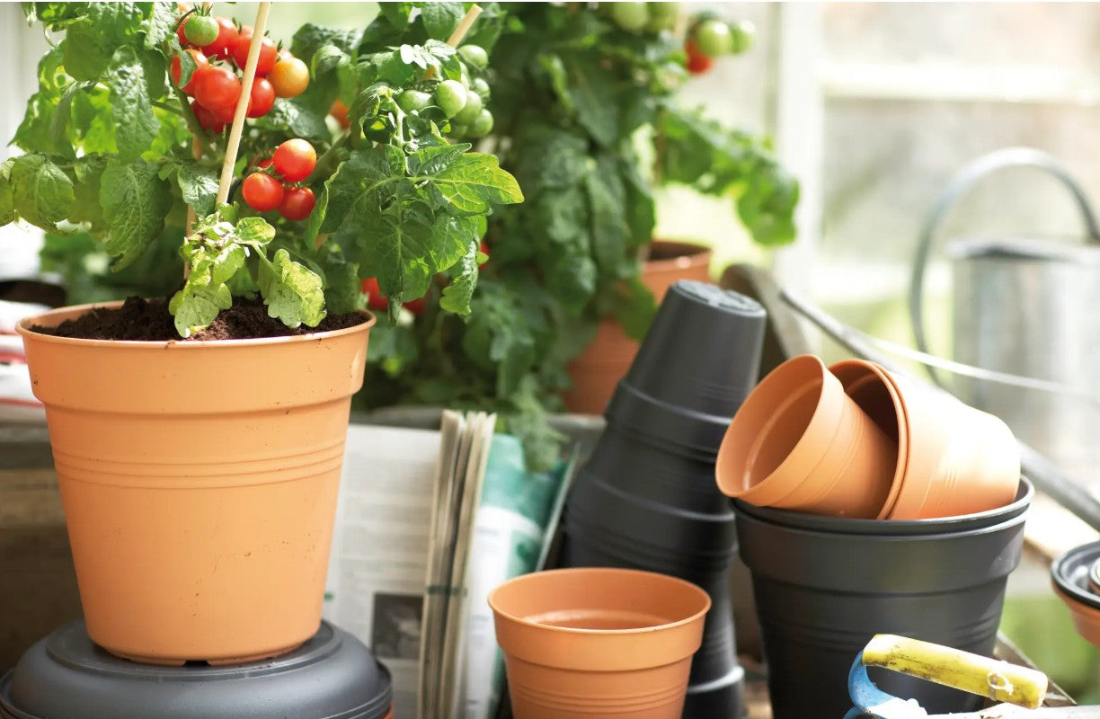 Elho Green Basics Growpot Mild Terra 30cm
