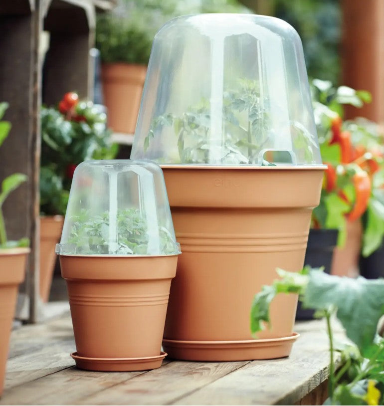 Elho Green Basics Growpot Mild Terra 30cm
