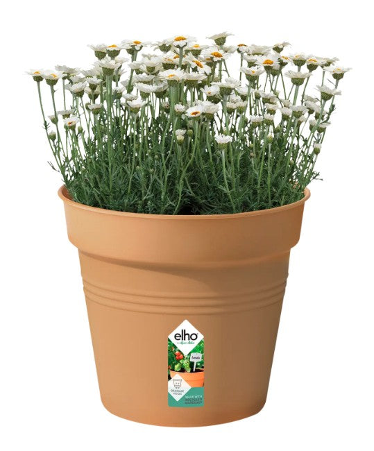 Elho Green Basics Growpot Mild Terra 30cm