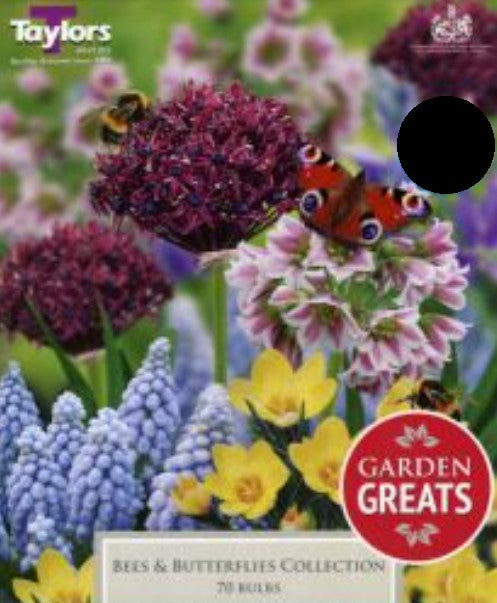Bees & Butterflies Bulb Pack (50)