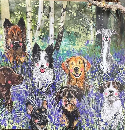 Alex Clark Bluebell Wood Blank Card AC909