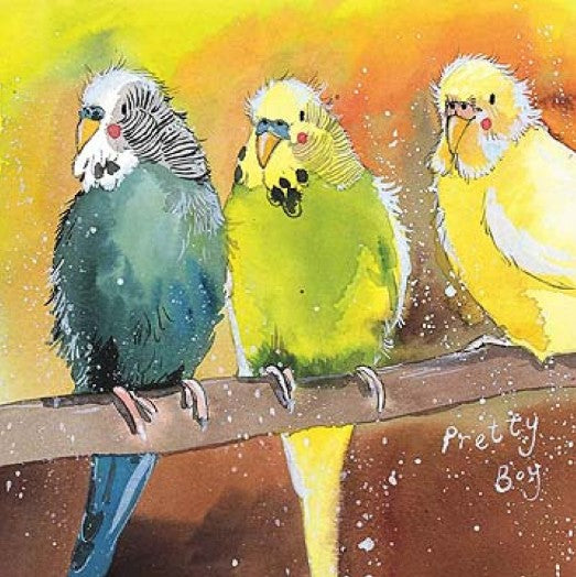 Budgies Card