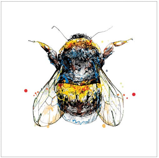 Buzz Eco-Card