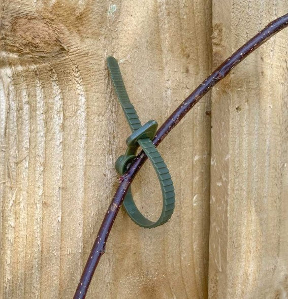 Tildenet Climbing Plant Supports Pk 10