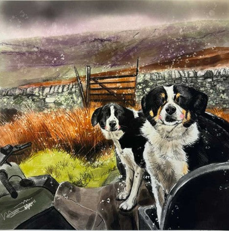 Collie Quad Card