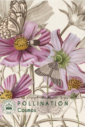 Thompson & Morgan Kew 'Cosmos' seeds